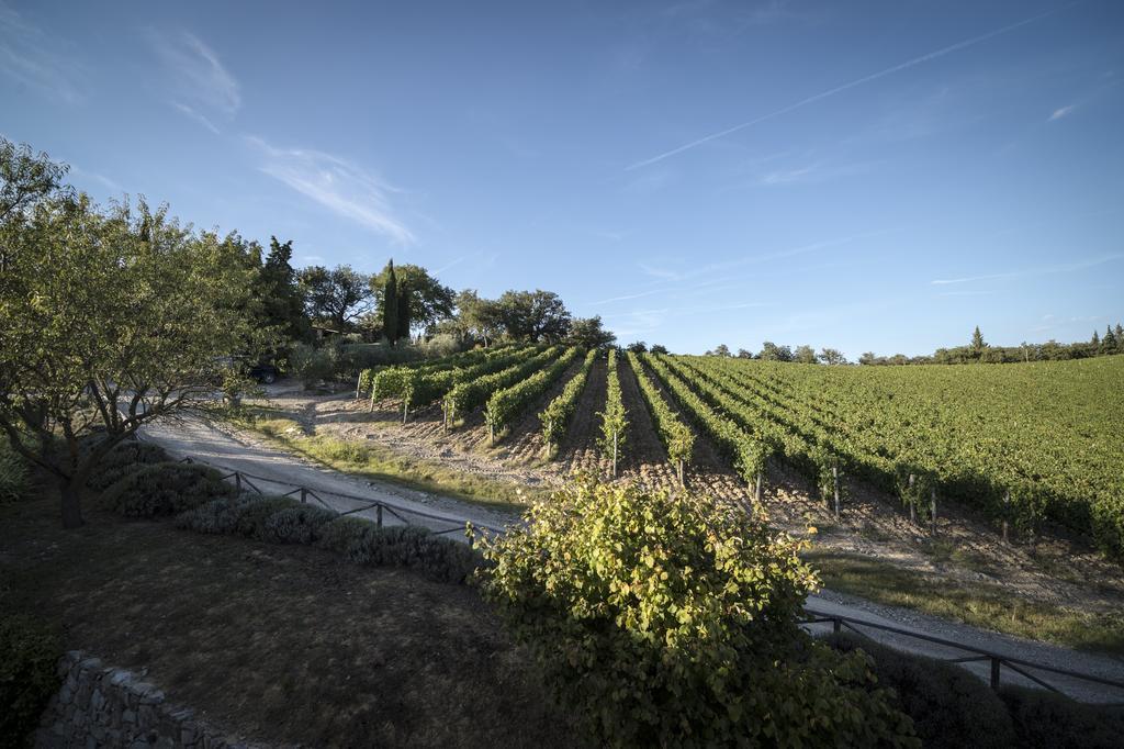 Penzion Collelungo Castellina in Chianti Pokoj fotografie